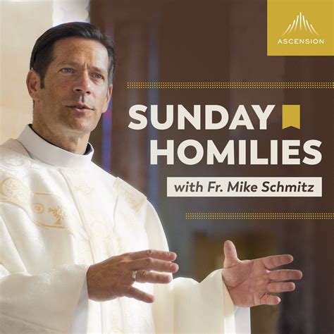 Search Roman Catholic <b>Homilies</b>. . Father mike schmitz homily today
